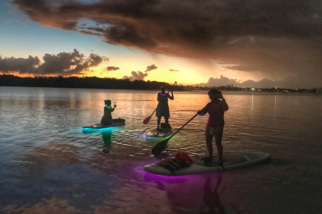 glow tour night time paddle boarding west palm beach