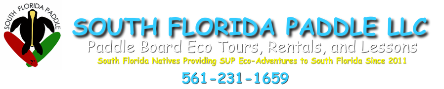 Paddle Boarding Lessons, Tours and Rentals - Jupiter & Singer Island, Fl - South Florida Paddle