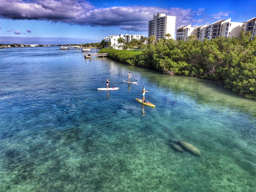 Paddle in Paradise with manatees on the Jupiter Advanced Paddle Boarding  Eco Adventure Tour