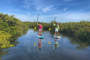 paddle boarding through the mangroves with south florida paddle